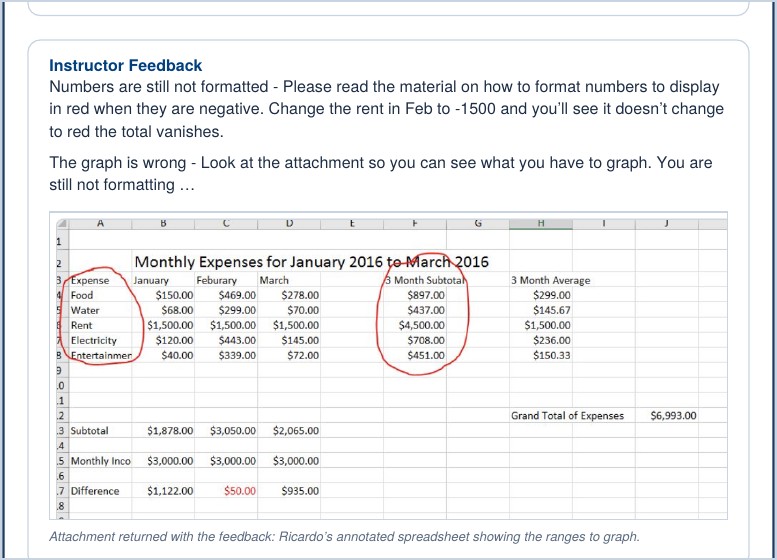 Instructor feedback with an annotated spreadsheet showing the ranges to graph